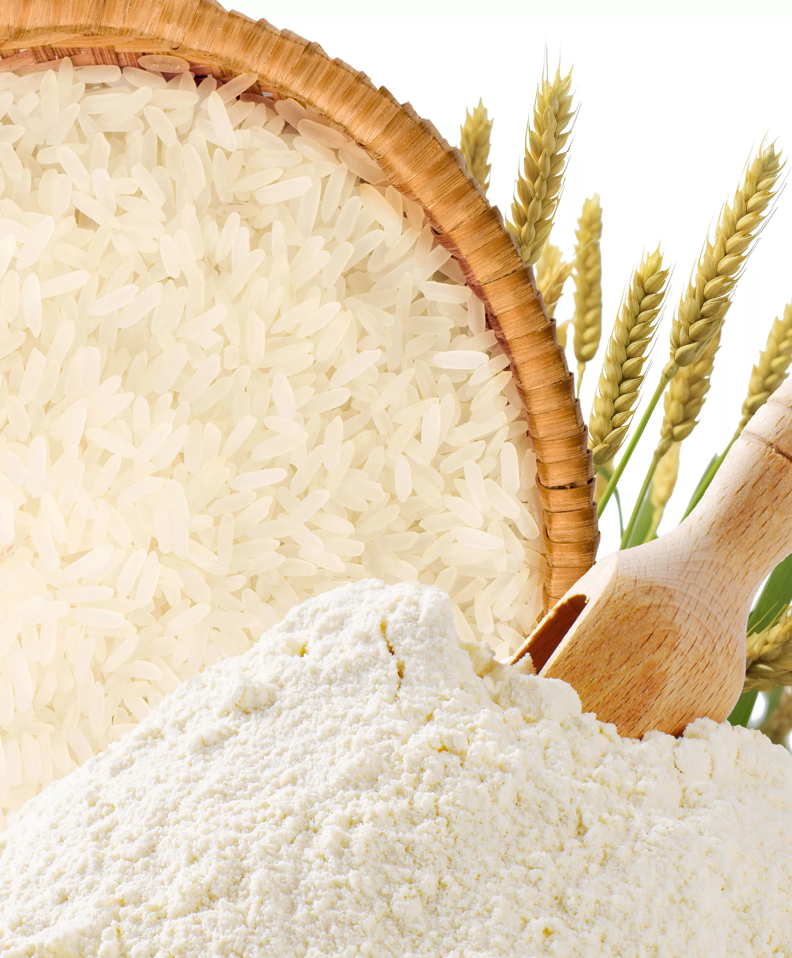 Organic Rice Protein